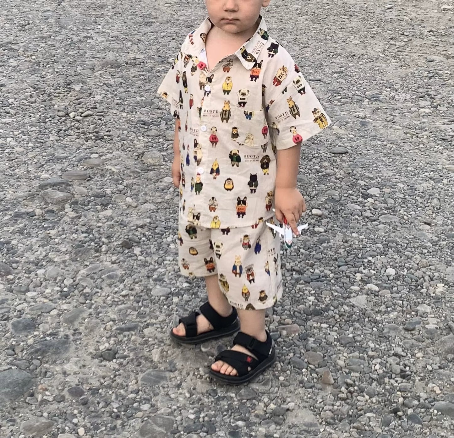 Toddler Boys Cartoon Shirt and Shorts Set