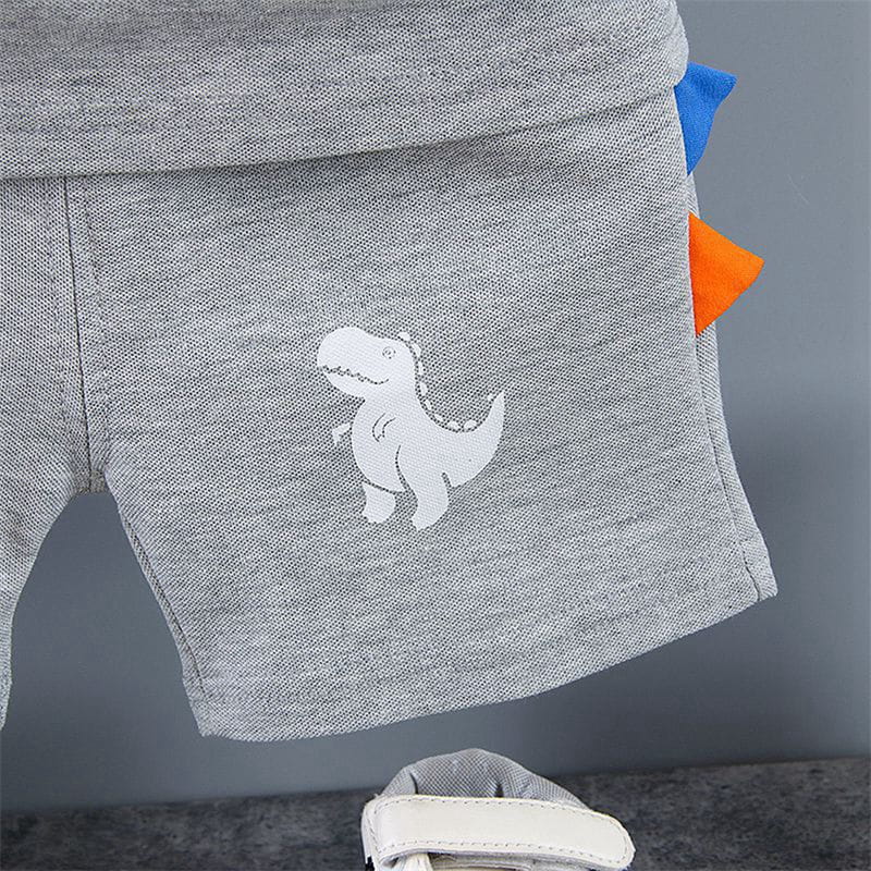 Boys Dinosaur Polo Shorts Set