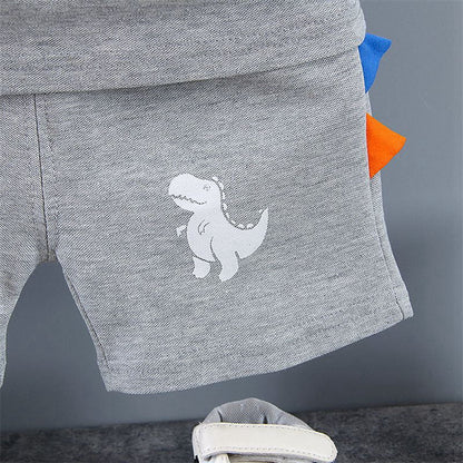 Boys Dinosaur Polo Shorts Set